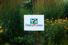 dairy-cares-7949